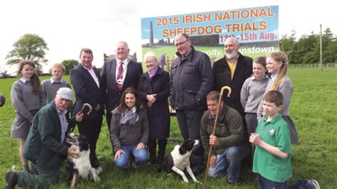 2015 Irish National Sheepdog Trials Begin In Johnstown