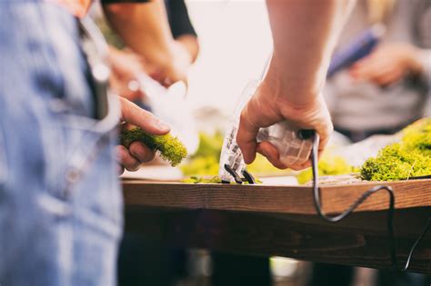 Whispers of flowers : Warsztaty