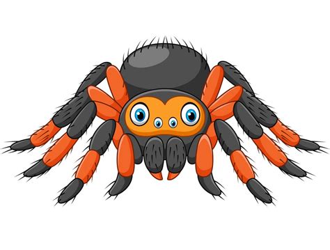 Cartoon Tarantula Spider Clipart World