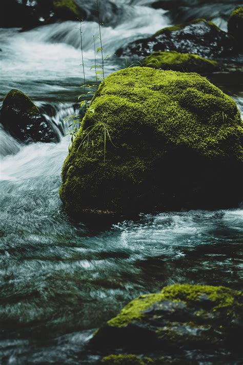 1179x2556px 1080p Free Download Nature Water Rivers Rock Flow