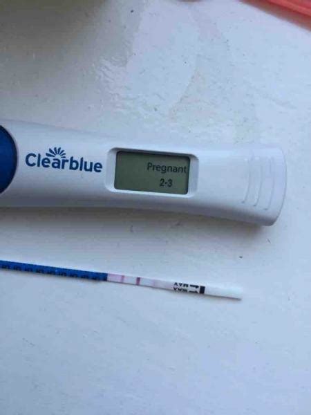 Can Ovulation Tests Predict Pregnancy