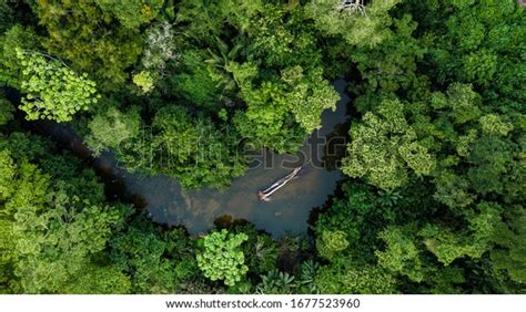 Luftbild Des Flusses Im Amazonas Regenwalddschungel In Stockfoto