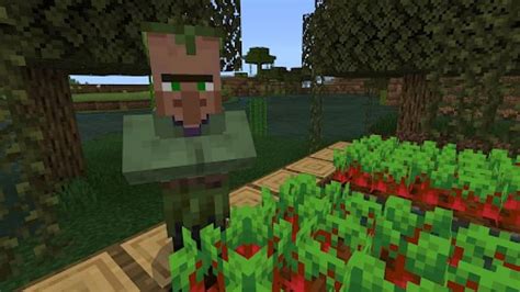 Why Are Swamp Villagers Rare In Minecraft