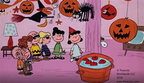 Peanuts Great Pumpkin Collection 6 Videos Total Home Decor
