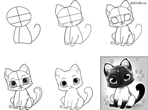 How To Draw Anime Cat 10 Step By Step Drawing Instructions For