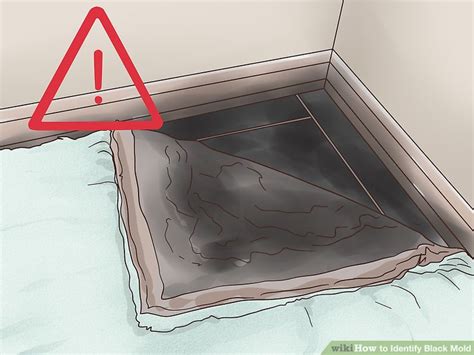 You might take one look at the following toxic mold picture and feel a strong urge to clean your bathroom. 3 Ways to Identify Black Mold - wikiHow