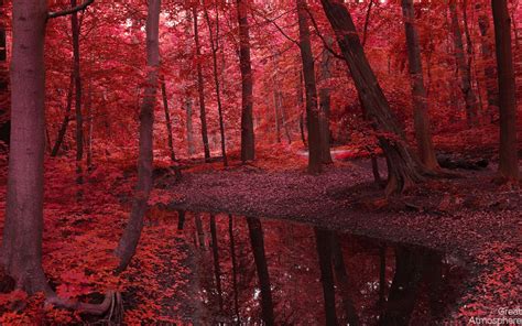 Amazing Red Autumn On Great Atmosphere Great Atmosphere