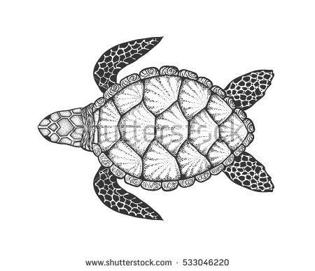 C.our rgb led string bulb can use controller to control it.total have many kind of colors you can use controller to use ,and have a lots of change model ,you can adjust the speed ,you can let them slow flash or speed flash.choose what you like freely. Sea turtle in line art style. Hand drawn vector ...