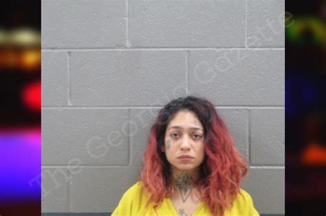 Ahsley Escobedo Banks County Jail Bookings