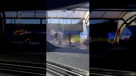 Horse Gets Hosed Off At Car Wash Buzz Videos