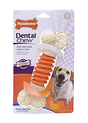 Nylabone Dental Chew Small Fresh Breath Flavored Pro Action Bone Dog