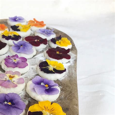Get Psyched For Spring With These 12 Stunning Pics Of Edible Flower