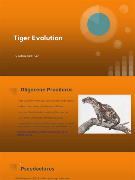 Tiger Evolution Pdf