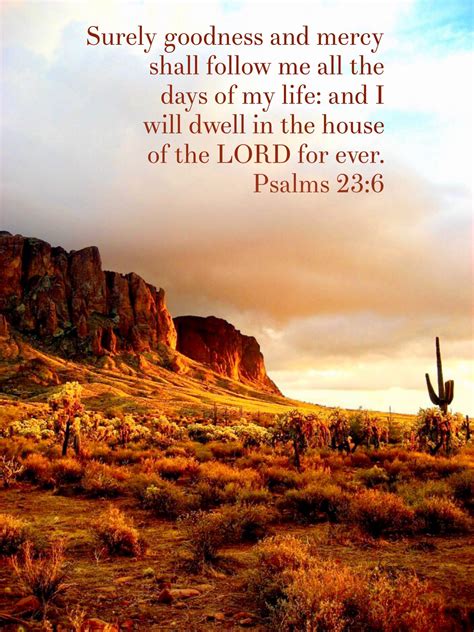 “surely Goodness And Mercy Shall Follow Me All The Days Of My Life And
