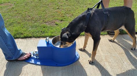 Pin On H2o Fido Dog Spray Park Features And Dog Park Equipment