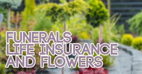 Funerals Life Insurance And Flowers Ica Agency Alliance Inc