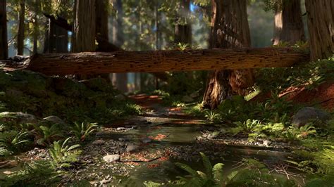 Star Wars Endor Wallpapers Wallpaper Cave