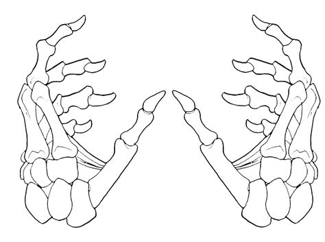 Check spelling or type a new query. Free Skeleton Hand Cliparts, Download Free Clip Art, Free ...