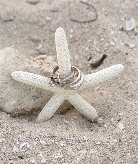 Shell And Starfish Décor For Your Jersey Shore Beach Wedding Partyspace