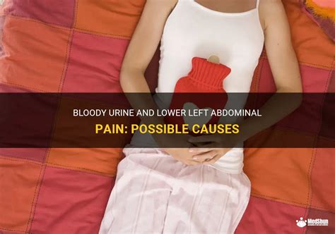 Bloody Urine And Lower Left Abdominal Pain Possible Causes MedShun