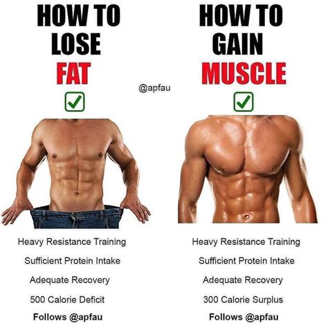 Pin On Fitness Tips Gaining Muscle
