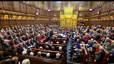 Whats The House Of Lords Your Questions Answered Bbc News