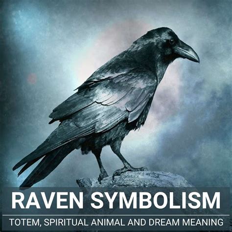 Raven Symbolism Totem Spiritual Animal And Dream Meaning