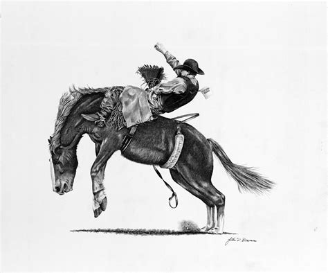 Rodeo Bareback Rider Drawing By John Bowman