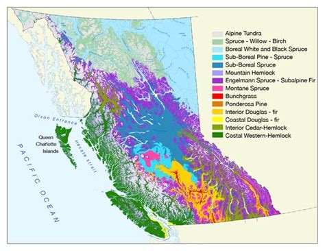 Introduction British Columbia Natural Resources Canada