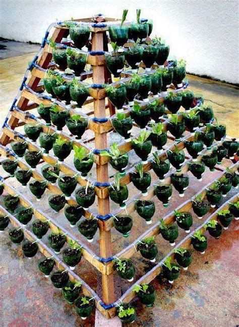 15 Diy Plastic Bottle Planters That You Havent Seen Before