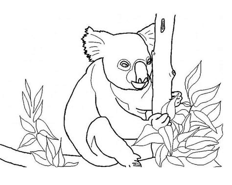 Darmowe Kolorowanki Do Wydruku Koala Dla Dzieci Zwierzę Lipiec 2023