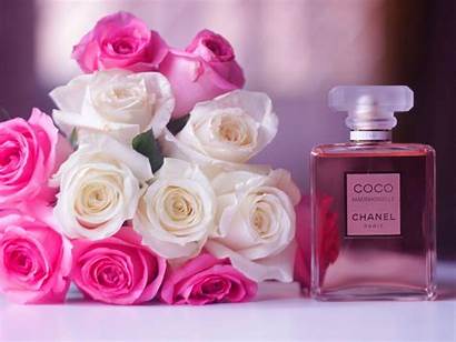 Chanel Coco Perfume Pink Rose Wallpapers Flowers