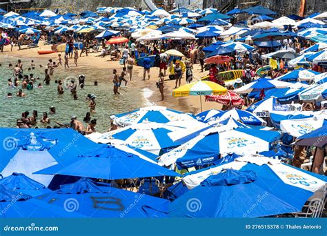 hundreds of people and tourists sunbathing and swimming at porto da barra beach editorial stock