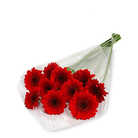 10 Stem Red Gerbera Daisy Bouquet