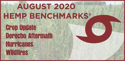 Us municipal trading, 1 sep 2020; August 2020 Hemp Spot Price Index Report - Hemp Benchmarks