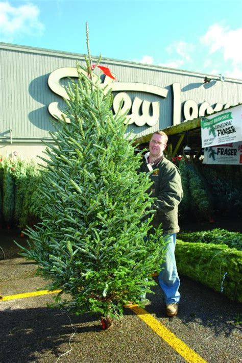 The same is true of its customers who put up christmas trees for the holidays. The top 21 Ideas About Stew Leonard's Christmas Trees ...