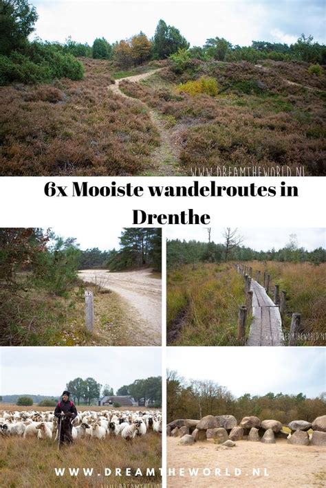 De Mooiste Wandelroutes In Drenthe Wandel Hot Sex Picture