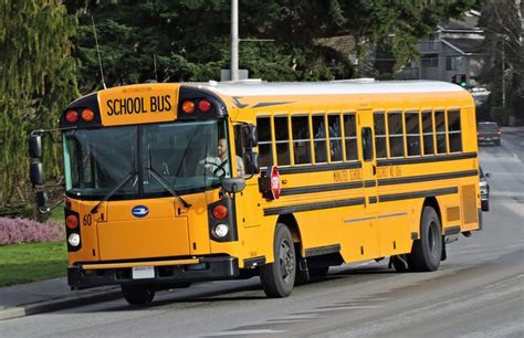 2016 Bluebird All American T3 Re School Bus