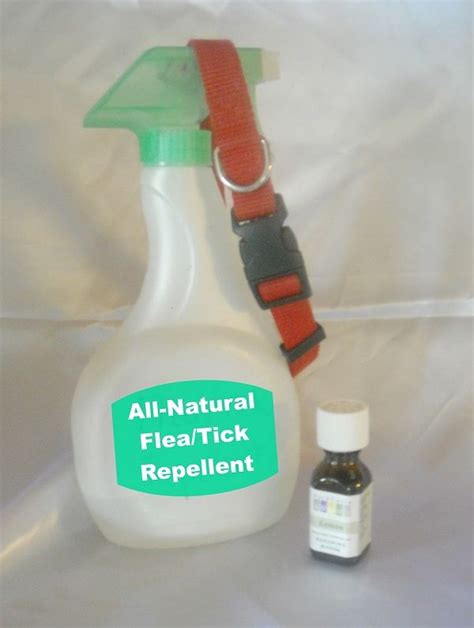 Homemade All Natural Flea And Tick Repellent Fleas Flea And Tick