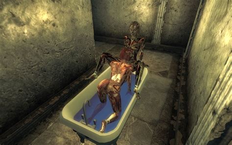 Rule 34 3d Fallout Fallout 3 Mod Tulip Willow 493780