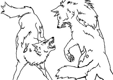 Wolf Fight Drawing
