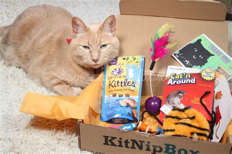 Find everything you need in one place. KitNipBox October 2014 Review - Save 15% - Cat ...