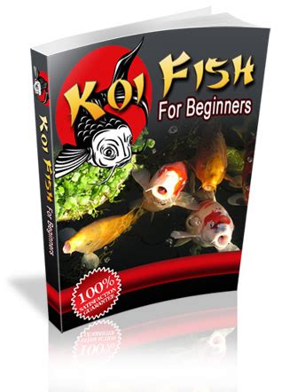 We find 223 kfc locations in new york. Koi Fish the Right Way, KFC - OmeOmyO! Lifestyle Center
