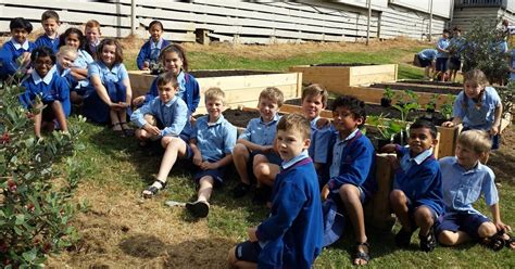 Room 15 Sunnyhills Planting The New Planter Boxes
