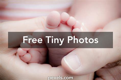200 Amazing Tiny Photos · Pexels · Free Stock Photos