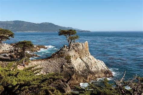 This Is The Lone Cypress From 17 Mile Drive In Pebble Beach California