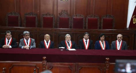 El tribunal constitucional definirá si la norma es constitucional o no luego de la audiencia oral del 3 de febrero , según marianella ledesma, pr. Tribunal Constitucional adelanta evaluación de la demanda ...