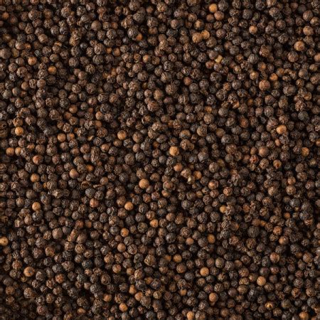 Whole Black Peppercorns Sarawak From Borneo Piper Nigrum