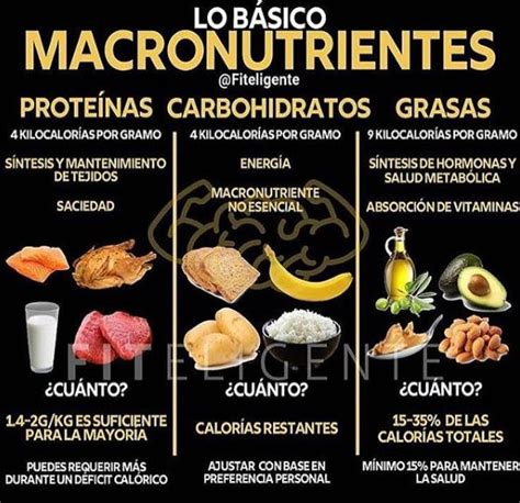 Macronutrientes Lo Esencial 👌 Los Macronutrientes Son Los Nutrientes