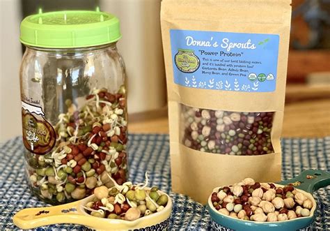 Why You Should Be Growing And Eating Sprouts In A Jar Cultured Food Life